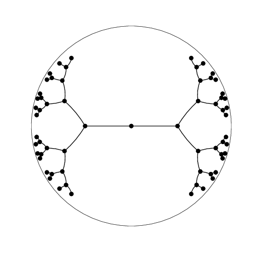 Binary tree embedding into the Poincaré disk